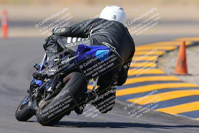 media/Oct-08-2022-SoCal Trackdays (Sat) [[1fc3beec89]]/Turn 11 Backside (1145am)/